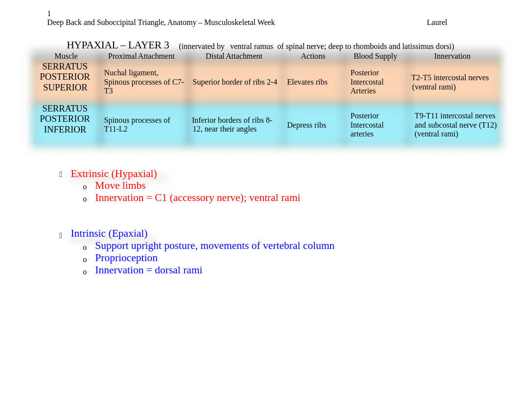 Deep Back & Suboccipital Triangle - Anatomy_d6f3pgc7guz_page1