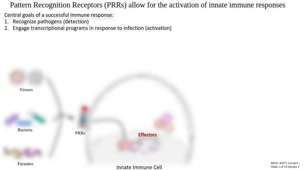 Lecture 2b_Innate Immune Receptors and Signaling.pdf_d6f5kkkpvgx_page3