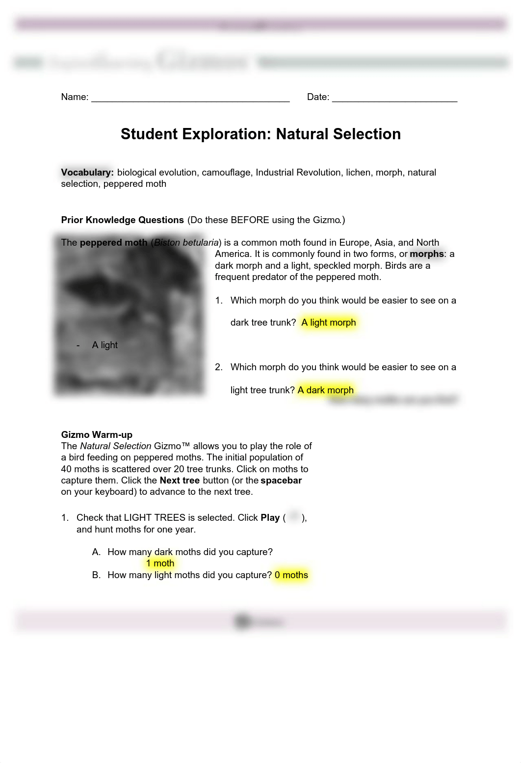 Copy of Natural Selection Student Exploration Sheet .pdf_d6f6pz0m02j_page1