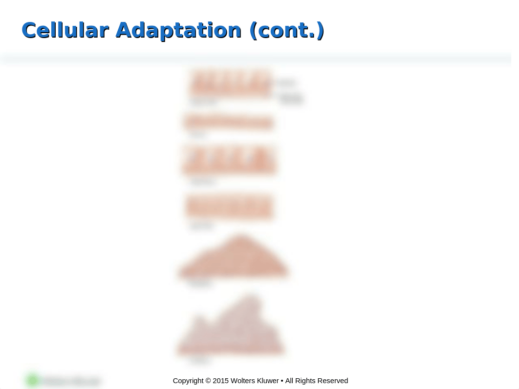 Chapter-2 Cellular Responses to Stress, Injury and Aging._d6faa8zz6fb_page5