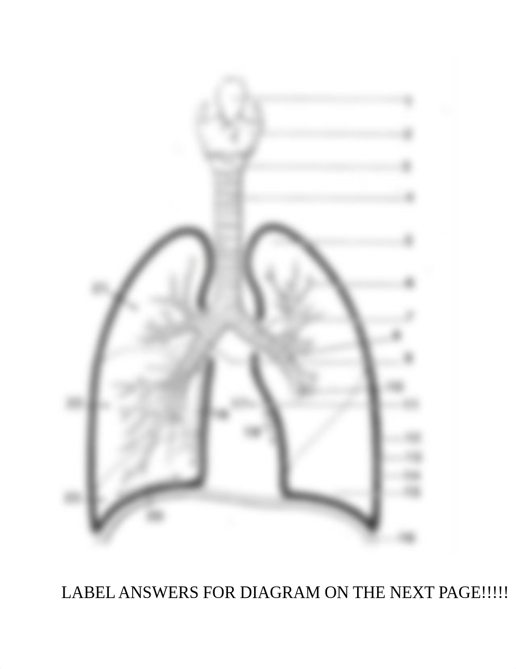 LAB (RESPIRATORY LUNG) ACTIVITY 2.docx_d6fbibbk6m9_page1