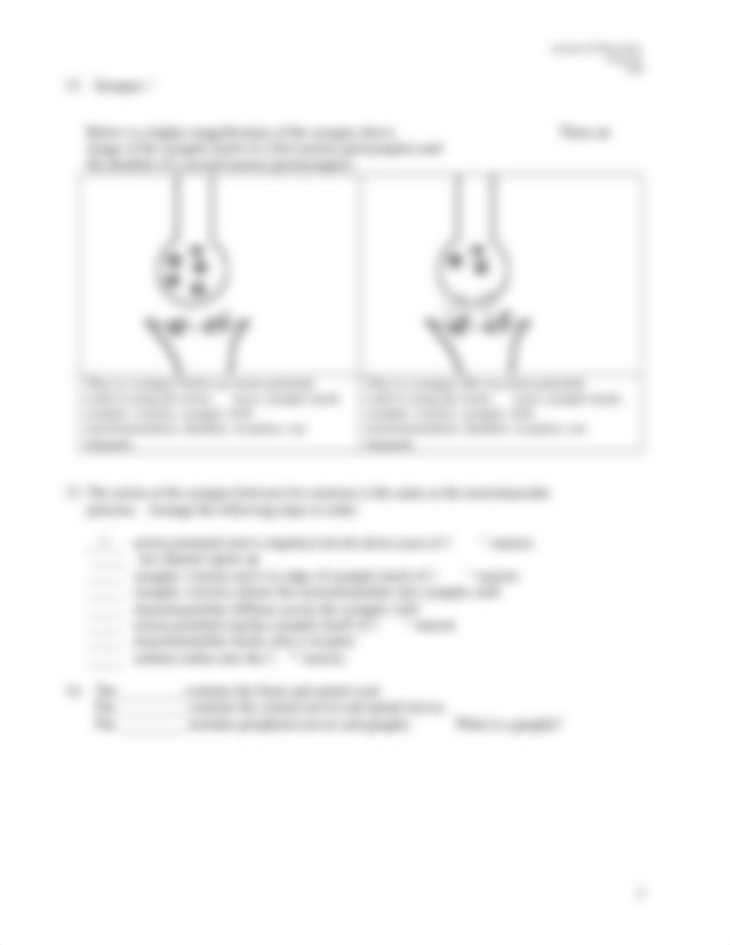 study_guide_CNS_part1.doc_d6fccwigskk_page3