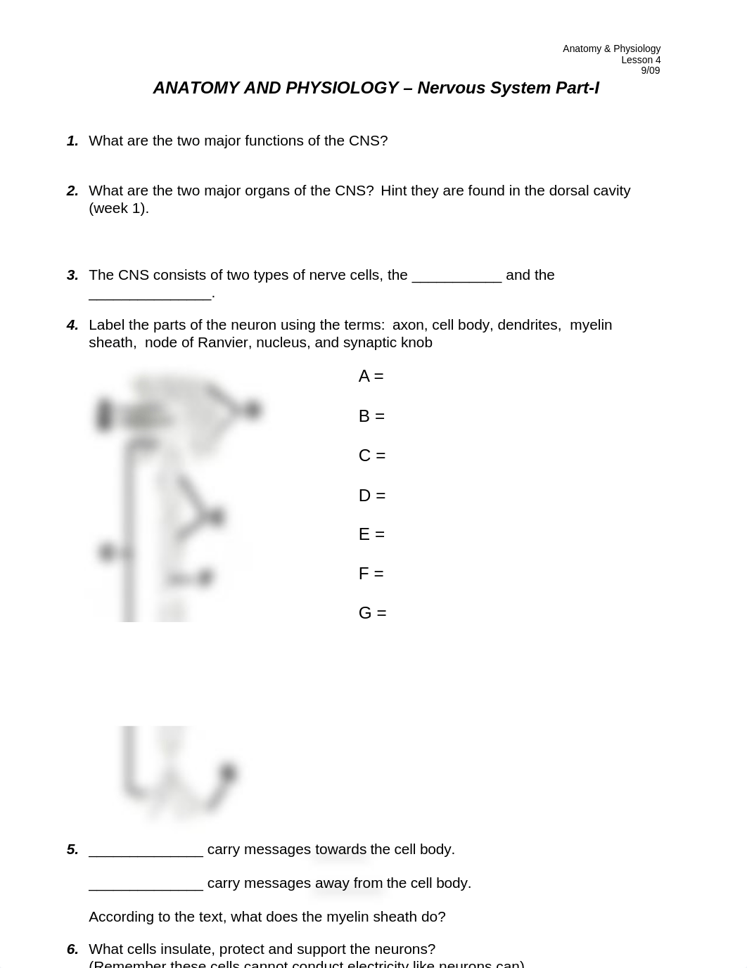 study_guide_CNS_part1.doc_d6fccwigskk_page1