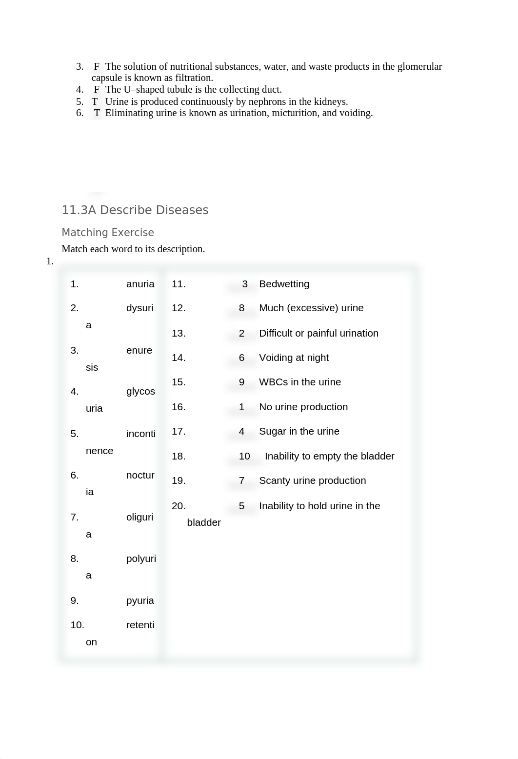 MedicalTerminology_Chapter11-Review_Miller.docx_d6ffom16qn4_page3