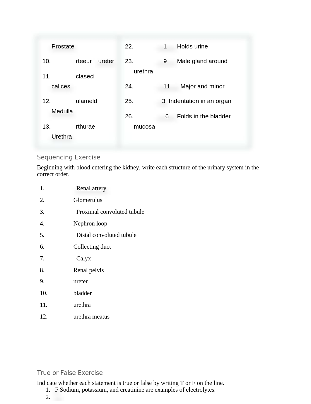 MedicalTerminology_Chapter11-Review_Miller.docx_d6ffom16qn4_page2