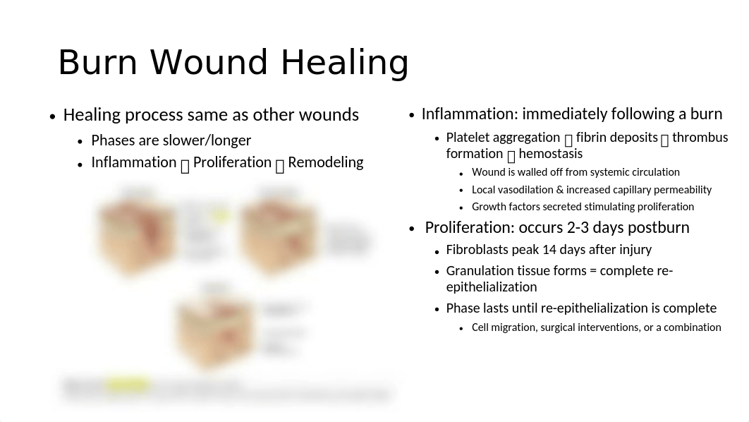 Pathophysiology of burns.pptm_d6fghh10wpy_page1