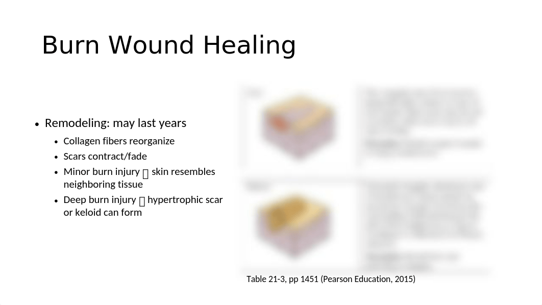 Pathophysiology of burns.pptm_d6fghh10wpy_page2