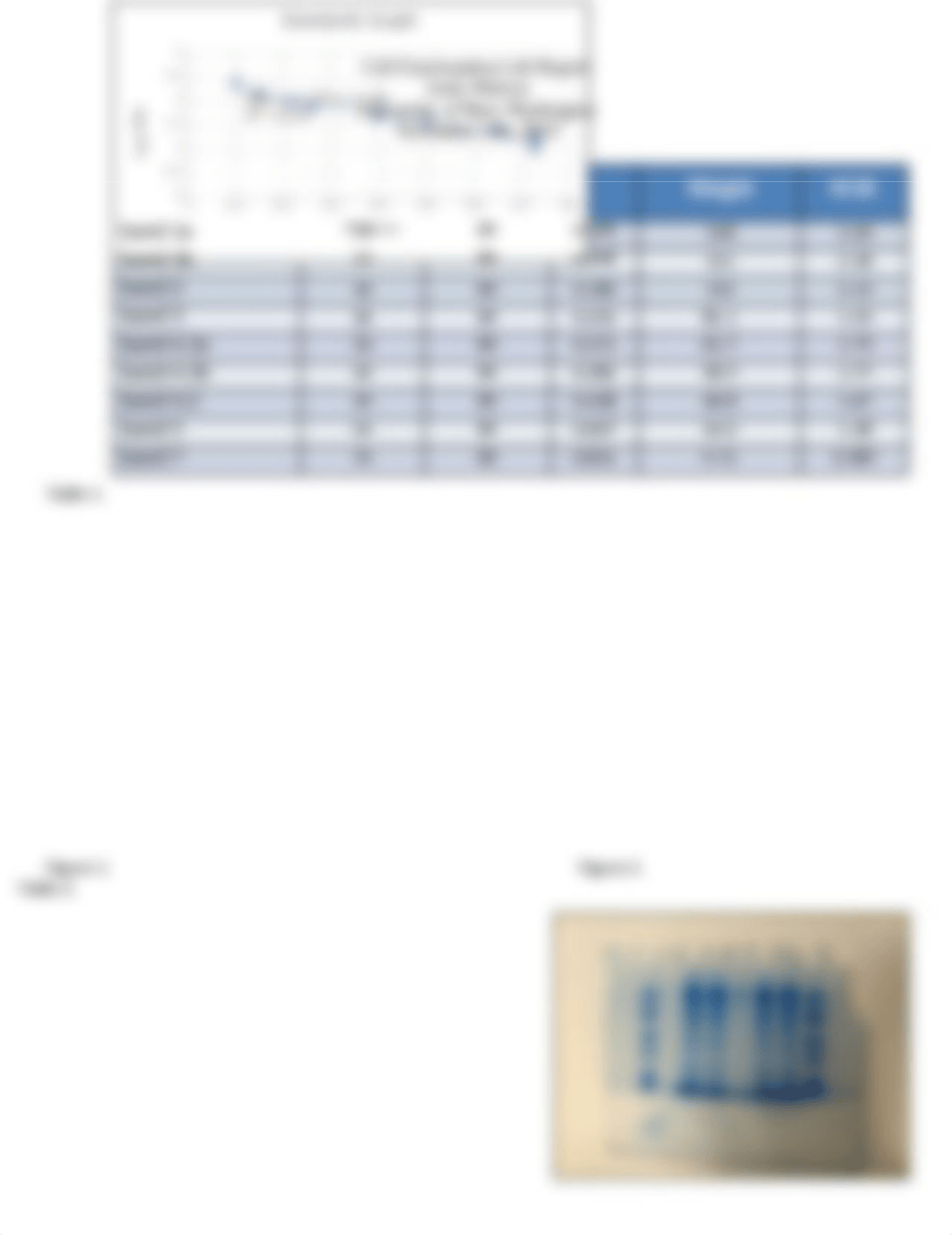 Cell Fractionation  Lab Report .docx_d6flcq292tk_page2