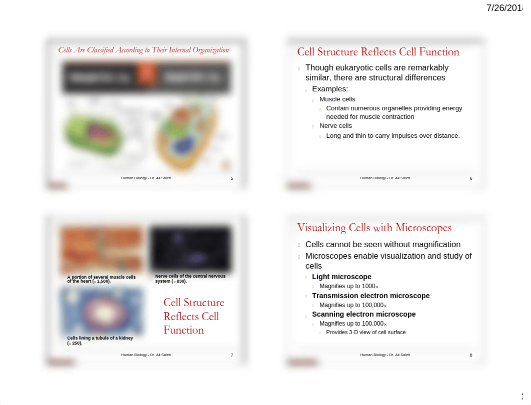 Chapter 03 - Structure and Function of Cells with notes .pdf_d6fq9wfuxuj_page2