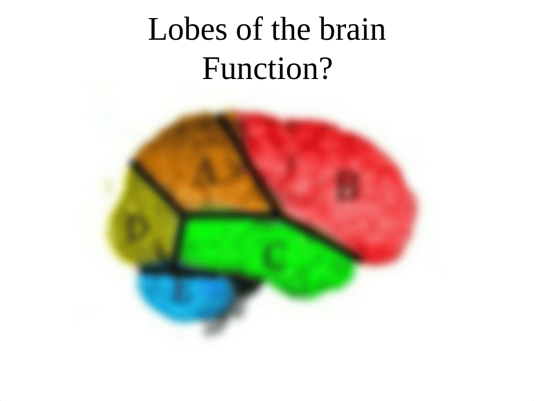 Exam1Review_student version.ppt_d6g41b157qc_page5