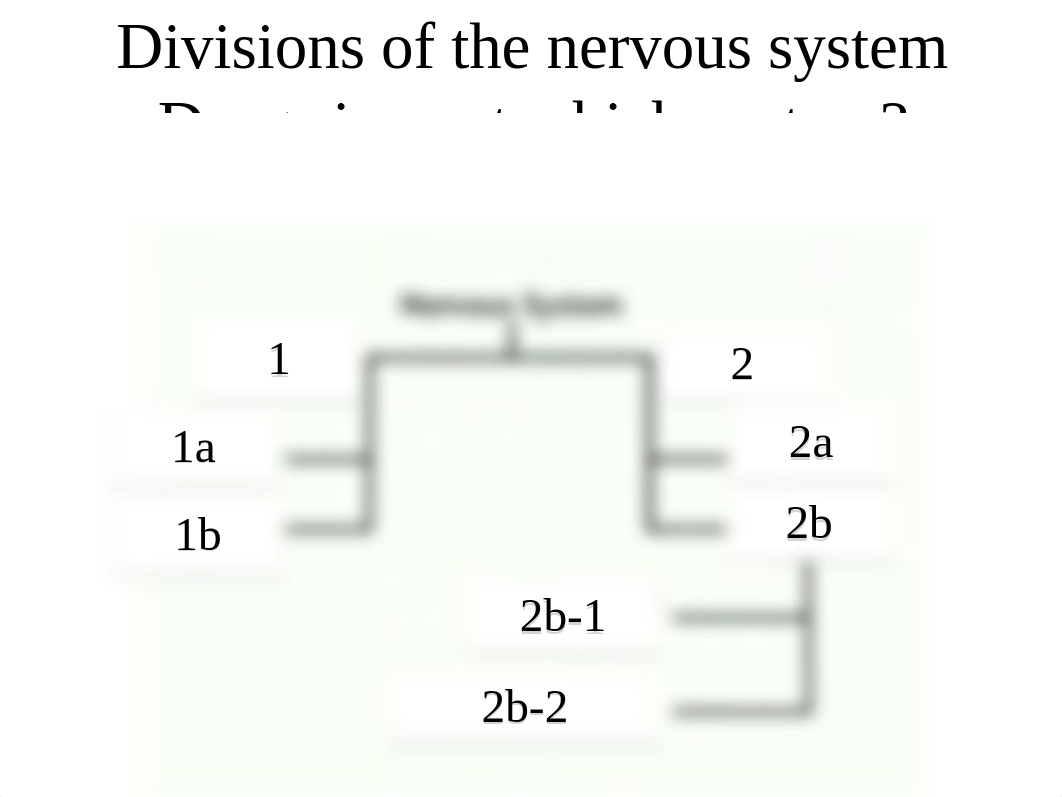 Exam1Review_student version.ppt_d6g41b157qc_page4