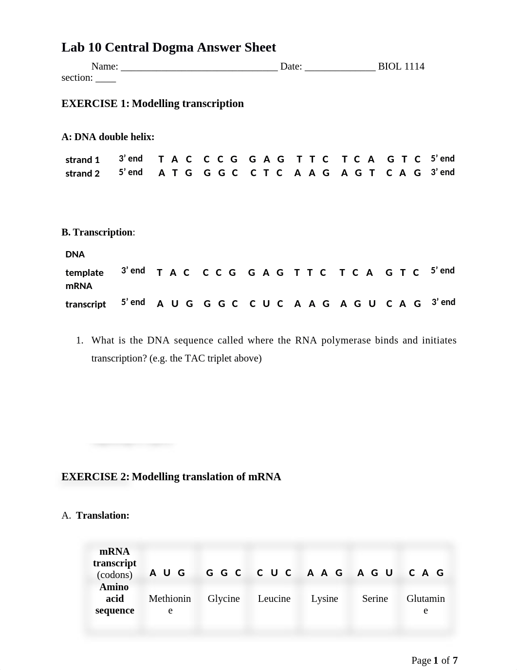 Central Dogma Answer Sheet.docx_d6g7kzlr28h_page1