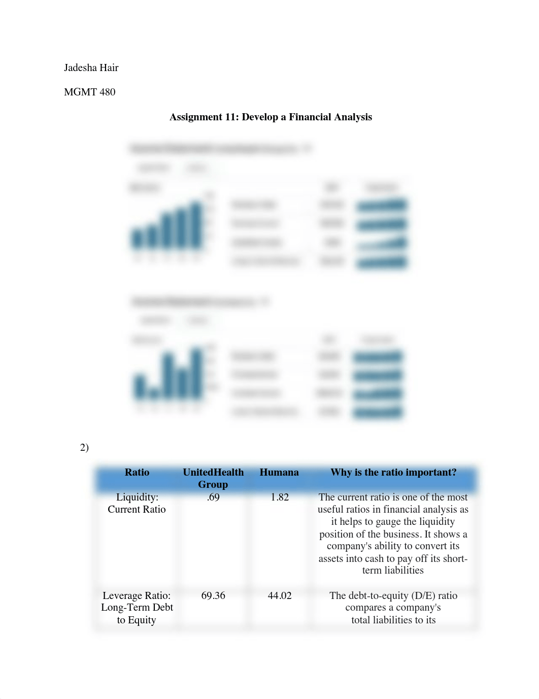 Assignment 11 - Company Financial Analysis (1).pdf_d6g7wbl4a0a_page1