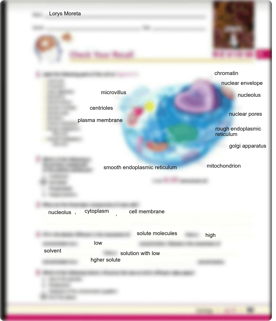 Check your recall unit 4 signed.pdf_d6g8so46d84_page1