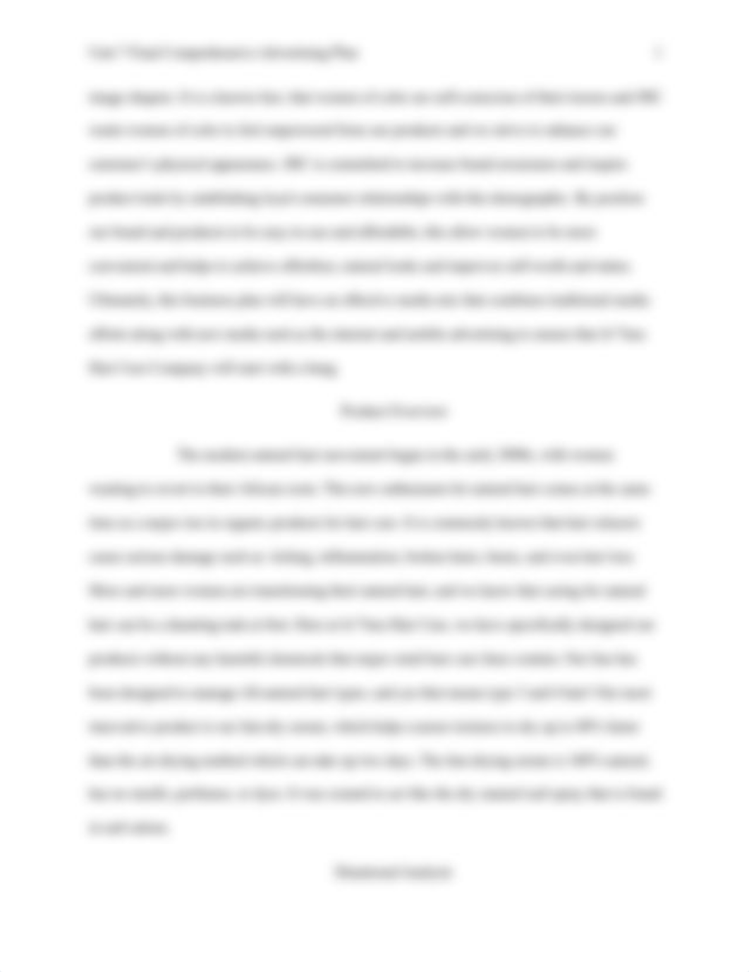 Unit 7 Final Comprehensive Advertising Plan.docx_d6g9dhrwp14_page4