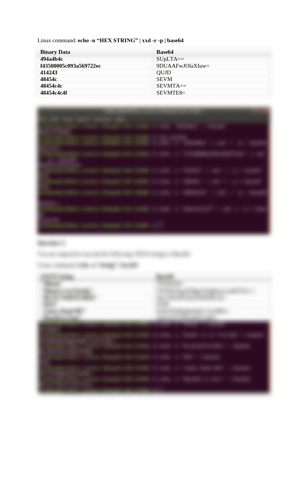 VT lab2 Advanced Computer Security.pdf_d6g9k1rcsur_page4