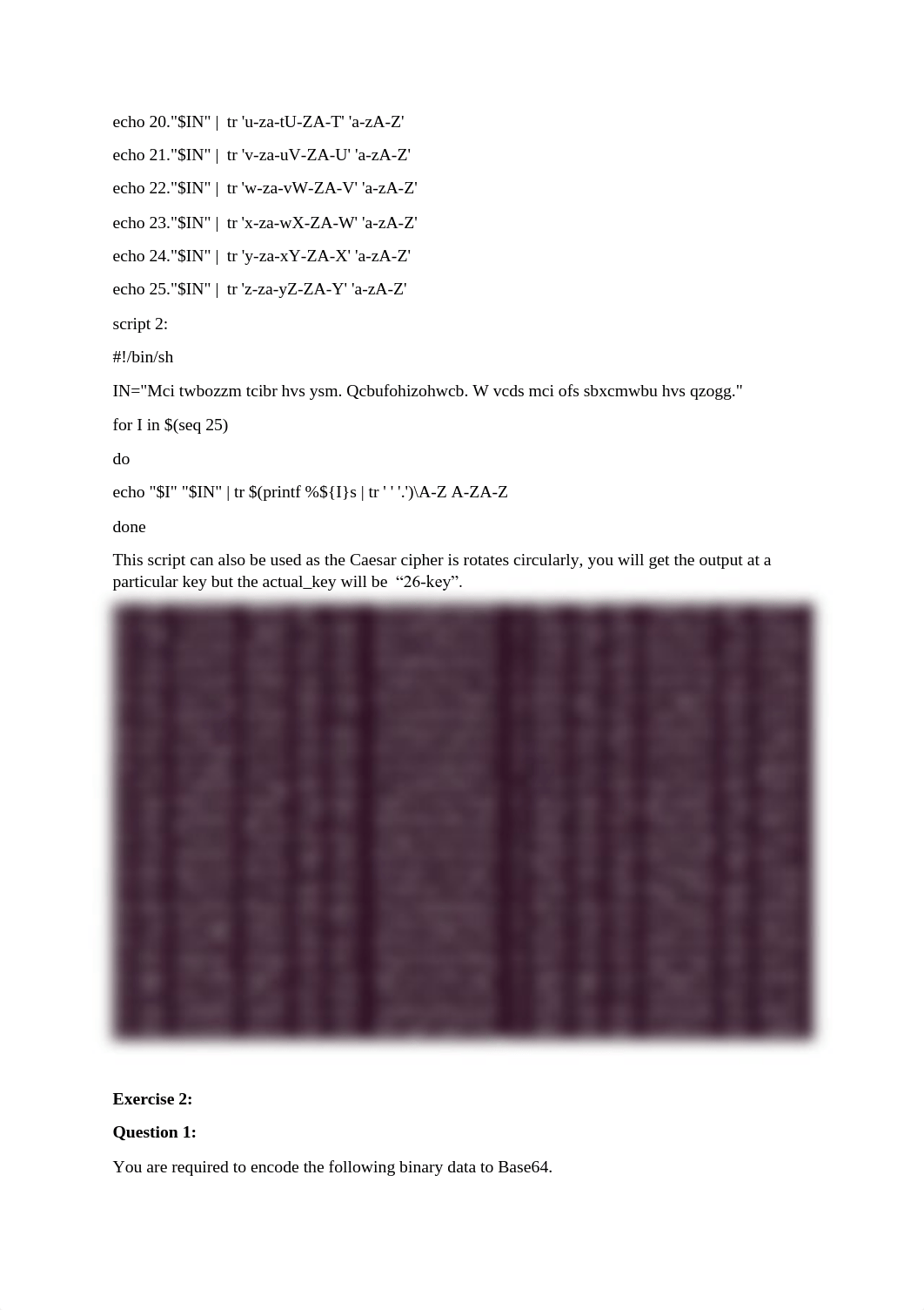 VT lab2 Advanced Computer Security.pdf_d6g9k1rcsur_page3