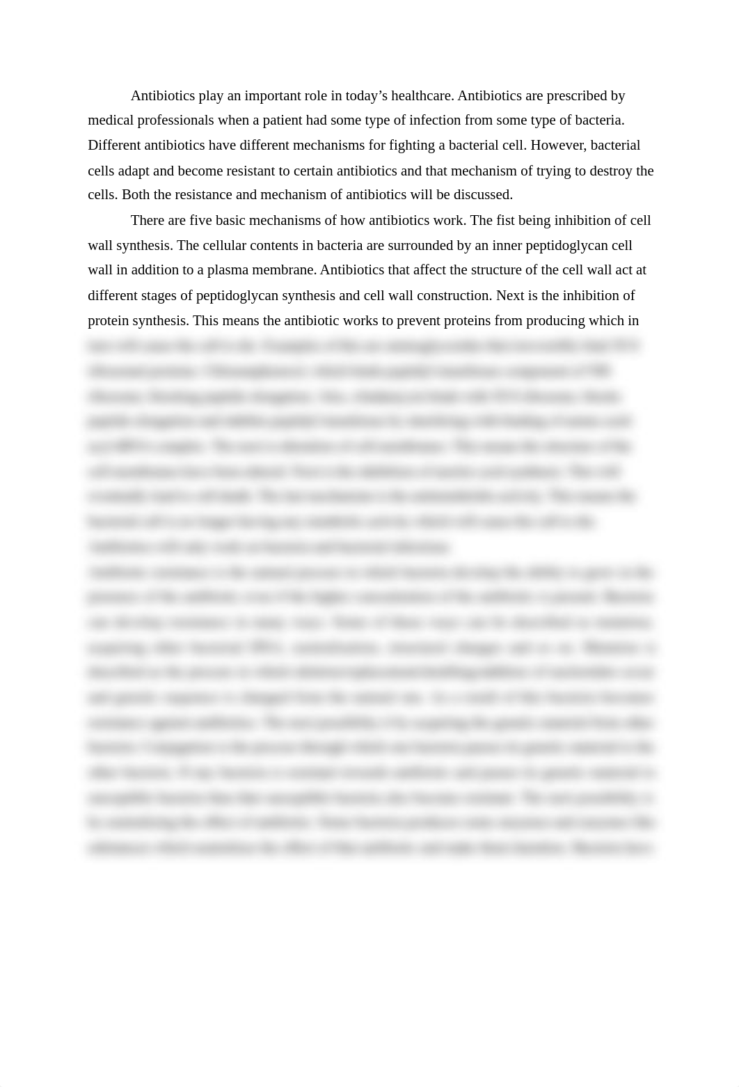 Mini Essay 2.docx_d6gagxvmdpj_page1