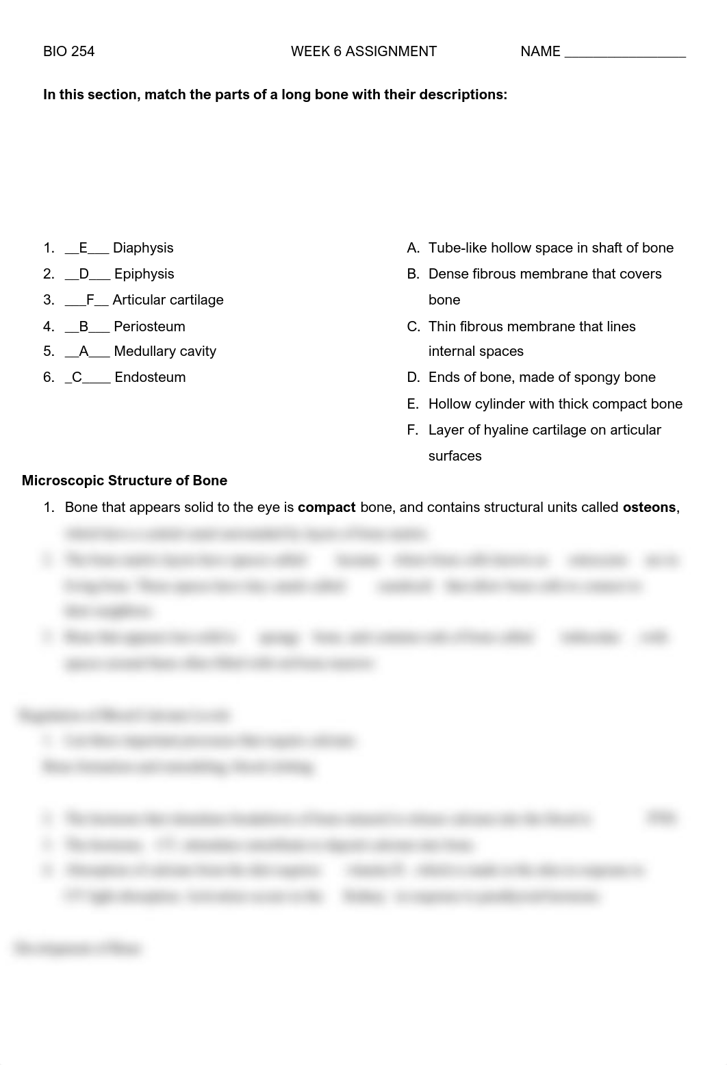 BIO 254 - W6 - ASSIGNMENT 5 - SKELETAL SYSTEM.pdf_d6gef4ipe18_page3