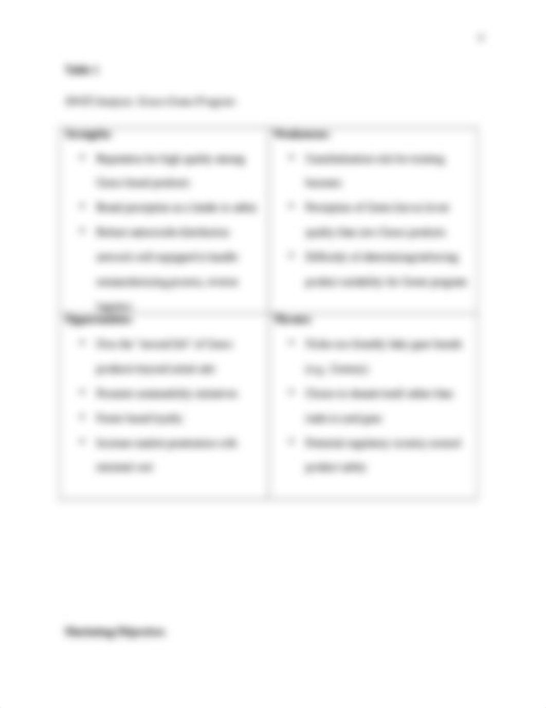 MarketingPlan.docx_d6gfh8v3uni_page4