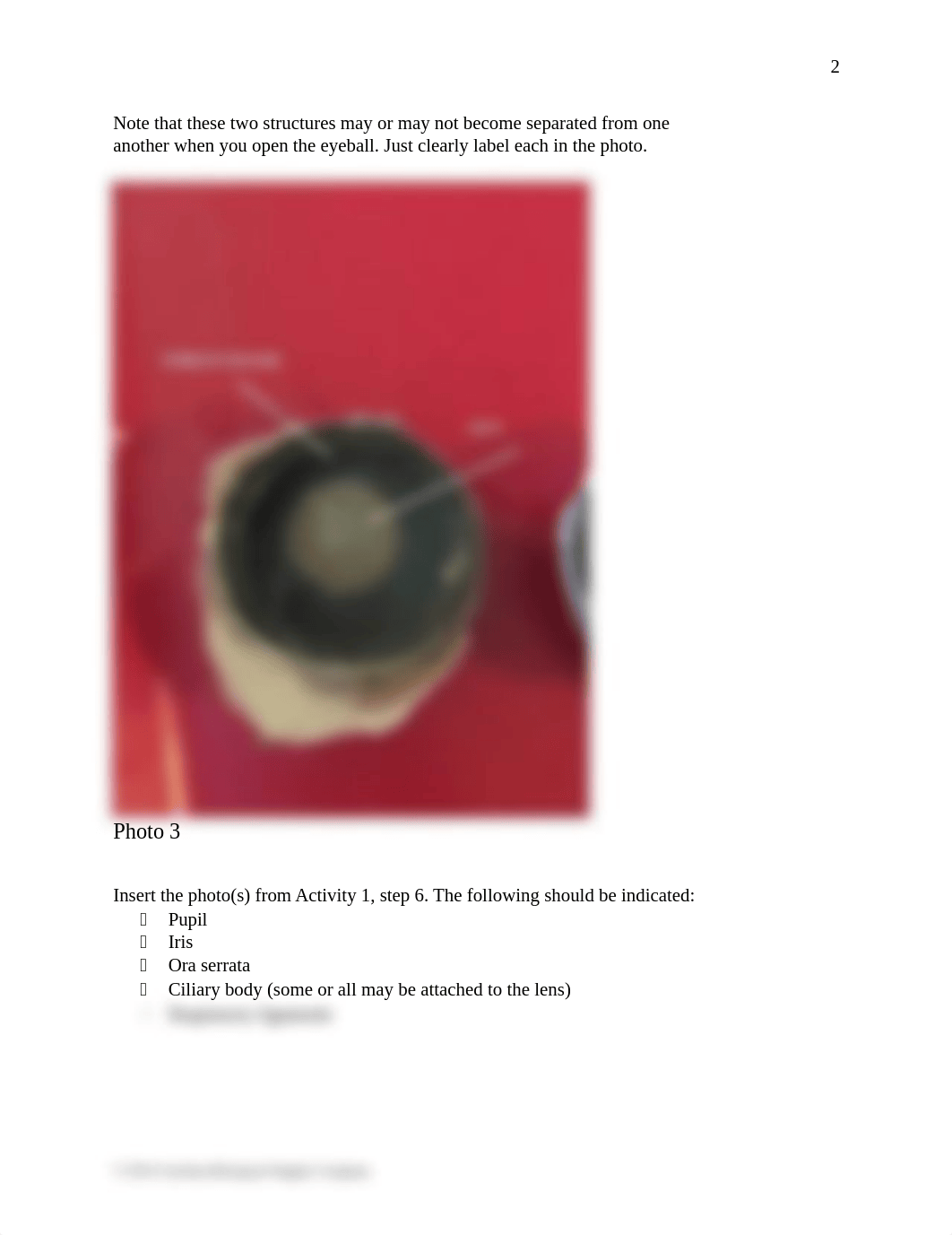 BIO168EYE.docx_d6ghm8x1lq8_page3