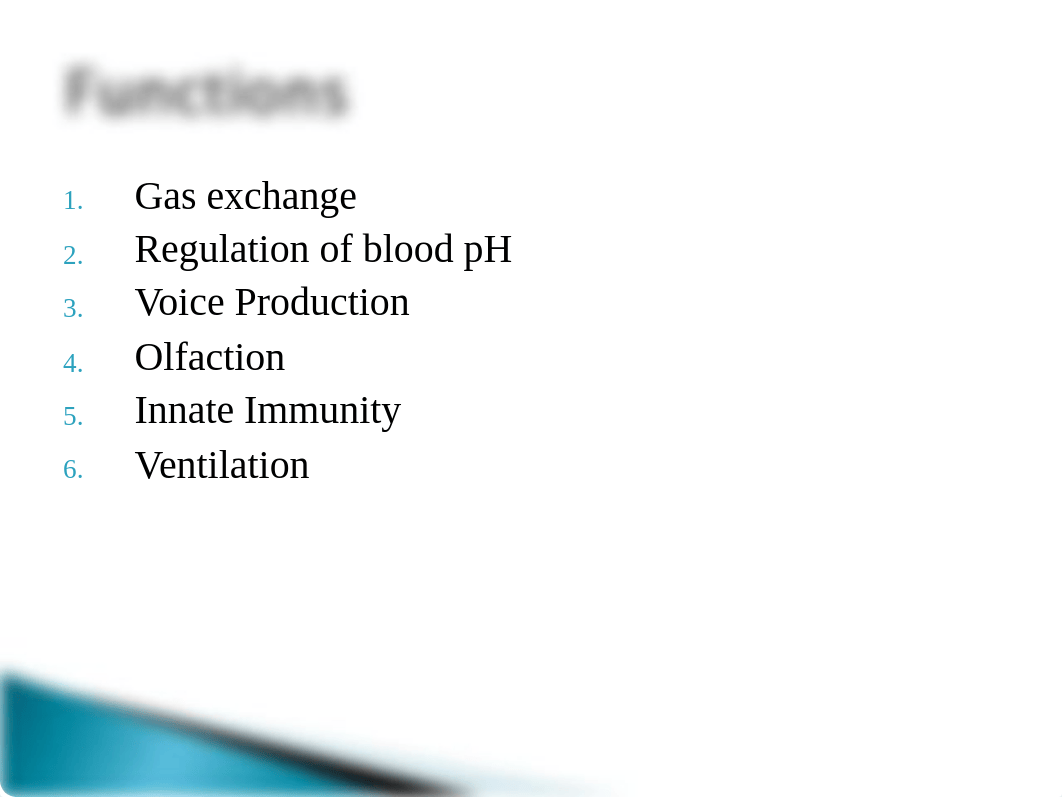 BIO 135 Ch 16 Respiratory System_d6gjchl1ri8_page2