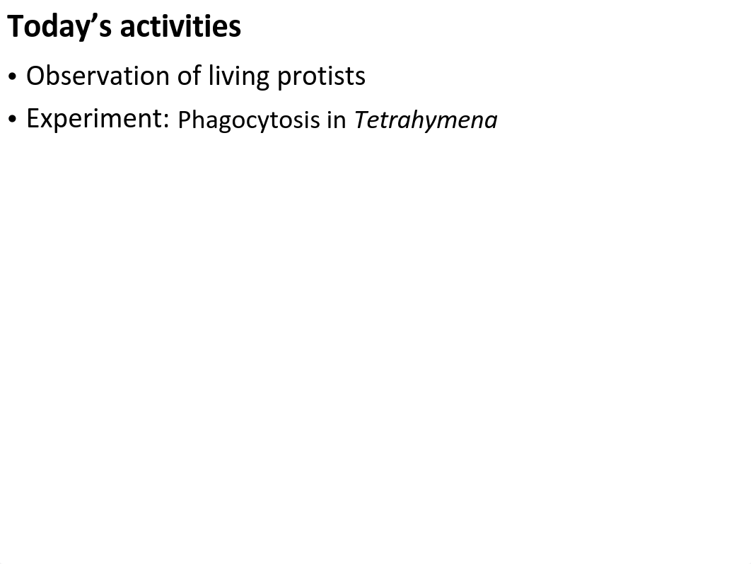 Lab 5 Protists S17_d6h1rphlkh9_page5