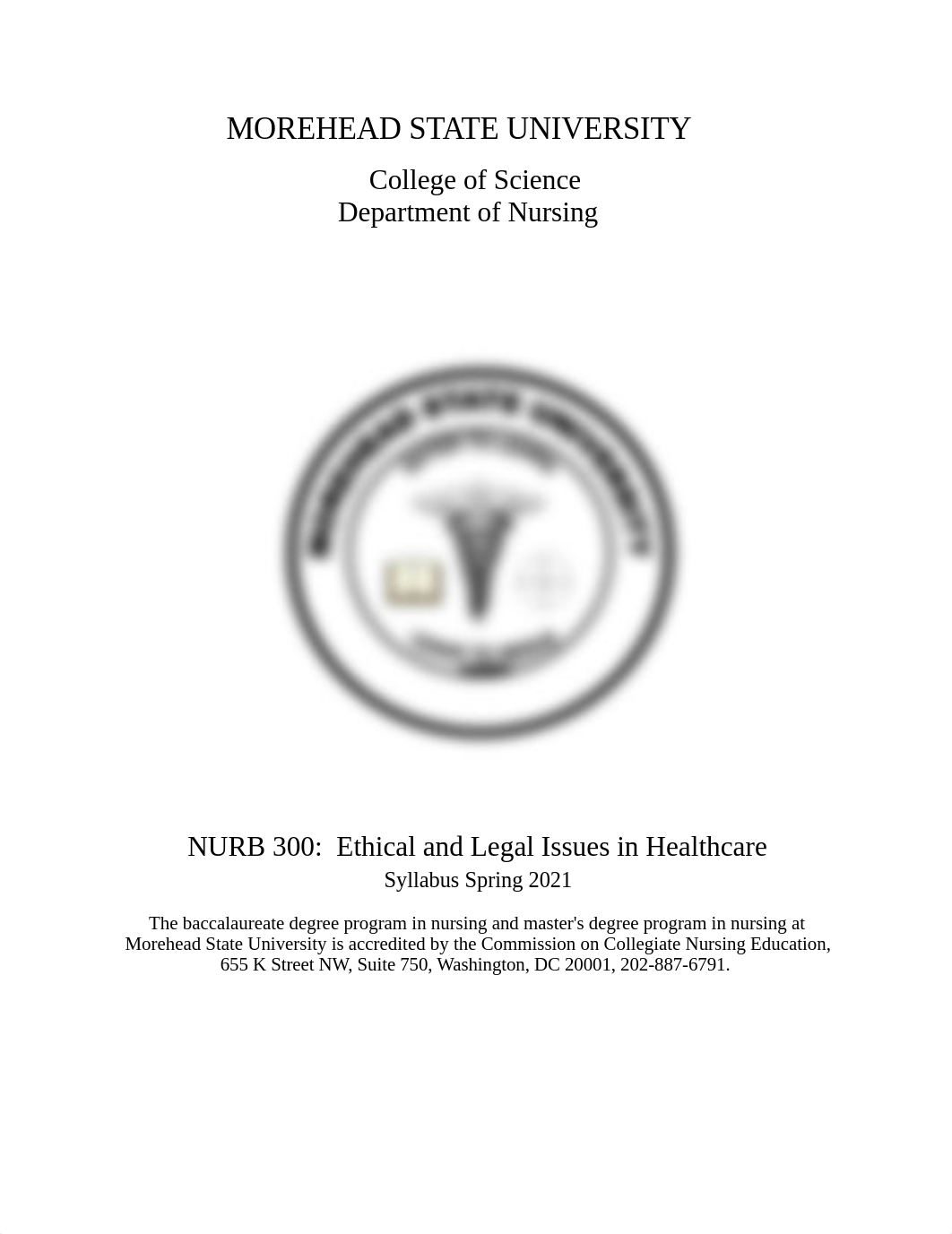 NURS 300 320 Ethical Legal Issues in Healthcare Spring 2021(1) (1).doc_d6h4earinrp_page1