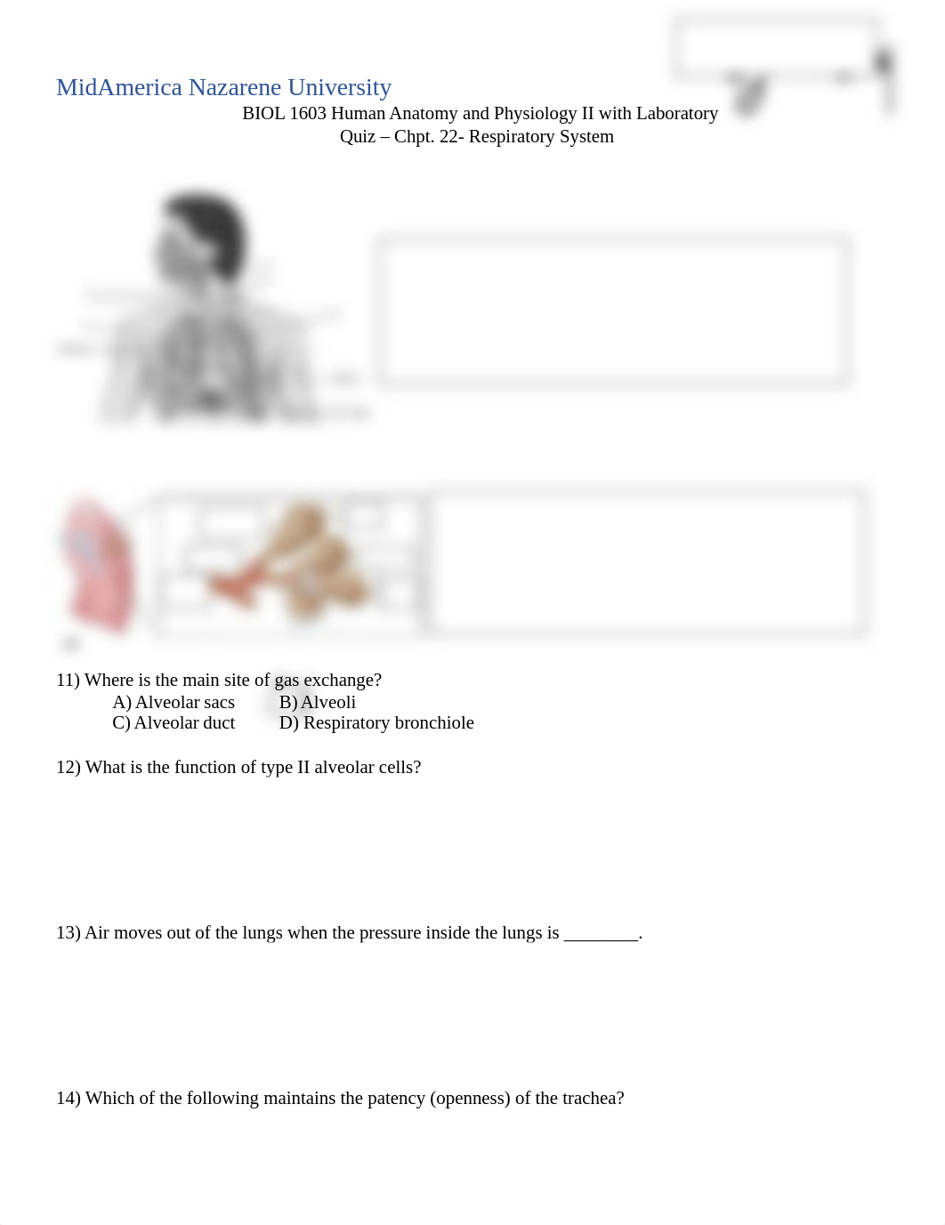 Respiratory Quiz.docx_d6hmh74f5wj_page1