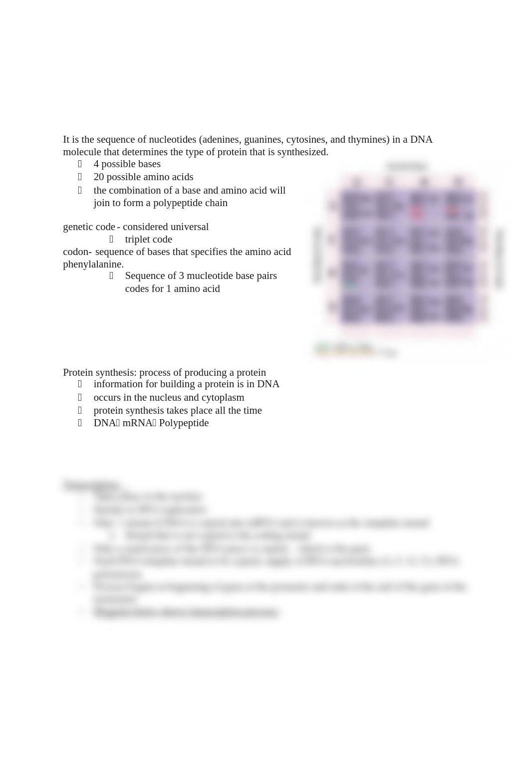 Chapter 20-from gene to protein.docx_d6hzgst4yqp_page2