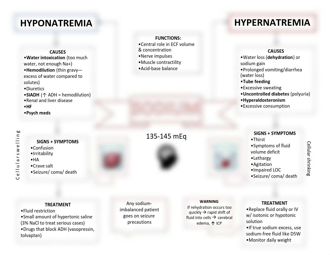 Electrolyte Concept Maps.pdf_d6i0xcfm1ez_page1