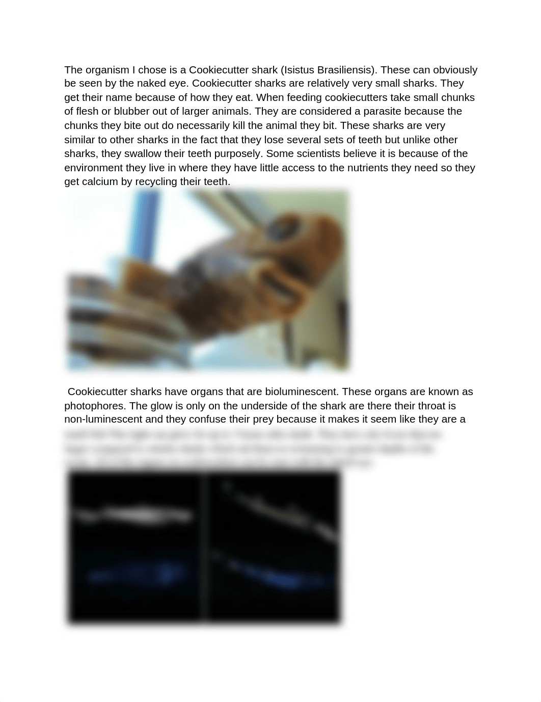 levels of organization and microscopy.docx_d6ibp3eyzjt_page1