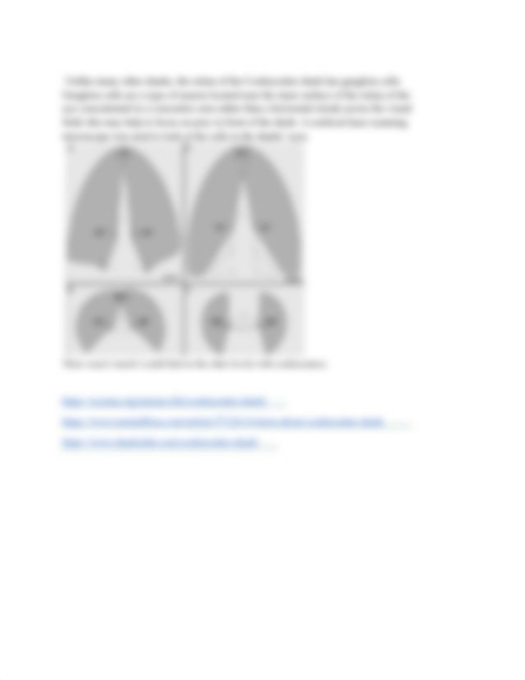 levels of organization and microscopy.docx_d6ibp3eyzjt_page2