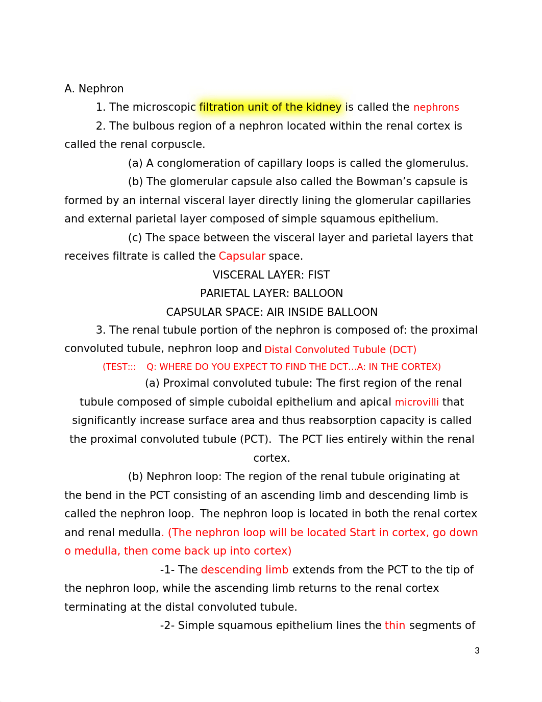 Chapter 24 Urinary System_blanks_d6icv1z5wdt_page3