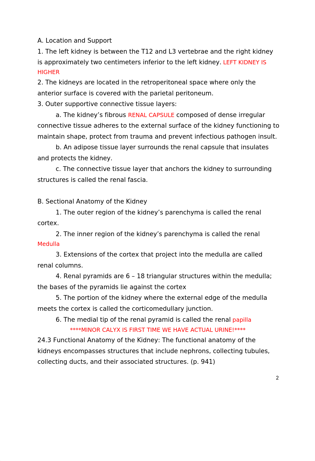 Chapter 24 Urinary System_blanks_d6icv1z5wdt_page2