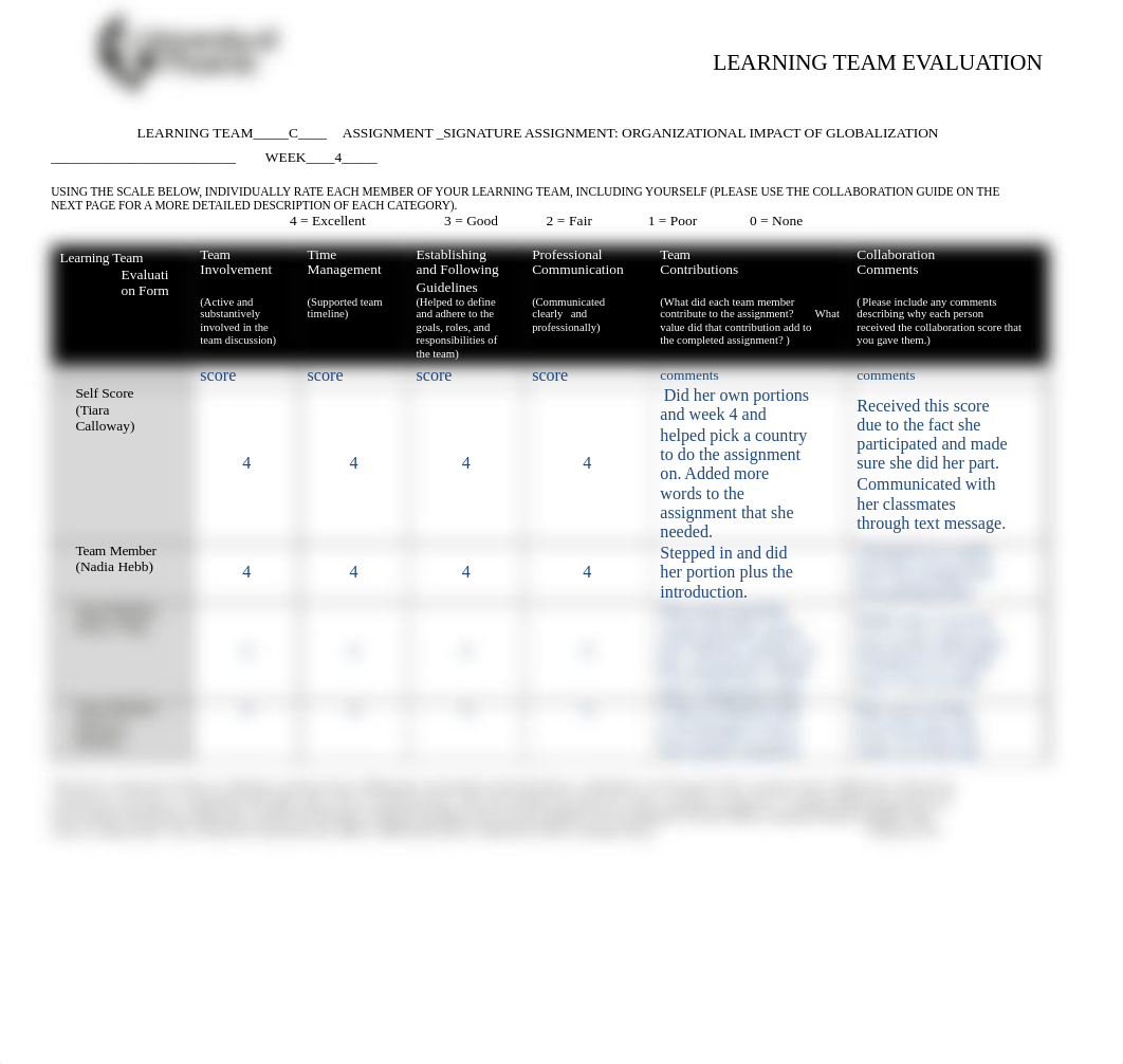 LearningTeamEvaluation.doc_d6ii3um4xpp_page1