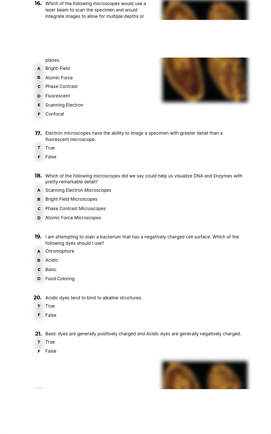 Quiz_Chapter 3 Medical Microbiology Talaro (Copy).pdf_d6iuor9cxu7_page5