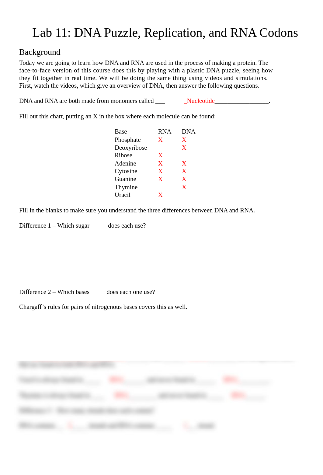 11 - DNA Puzzle, Replication, & RNA Codons (1).docx_d6iuyrpwhnm_page1