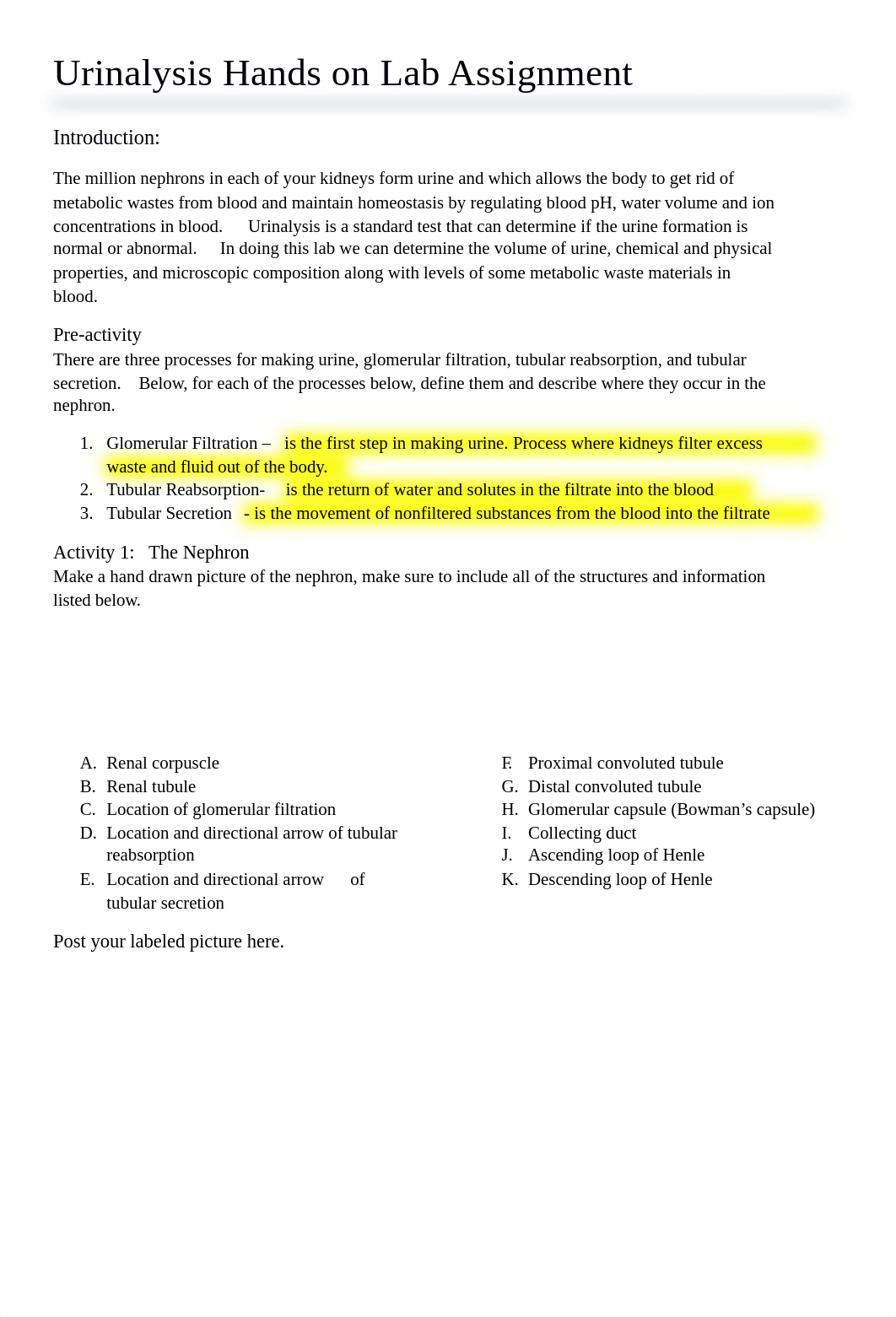 HOL_Urinalysis.docx_d6ixvyv80d7_page1