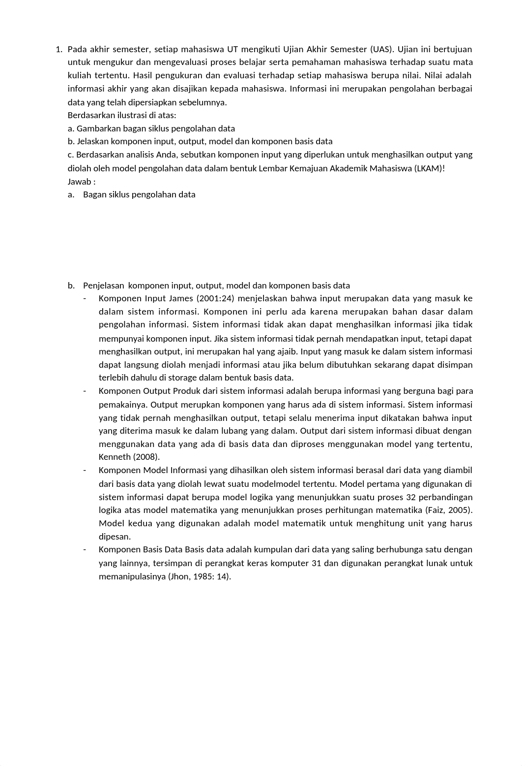 BJU_Sistem informasi manajemen_041351535.docx_d6iz0awpvr4_page3