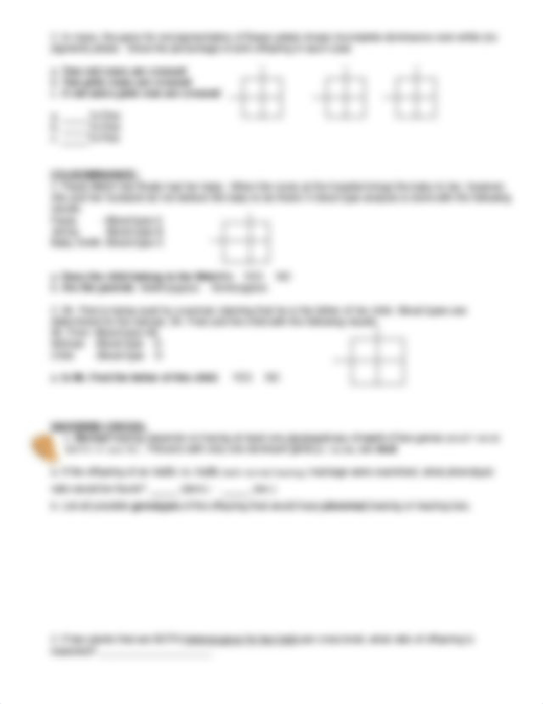 Ch13 Punnett Squares_d6j0ywy252x_page2