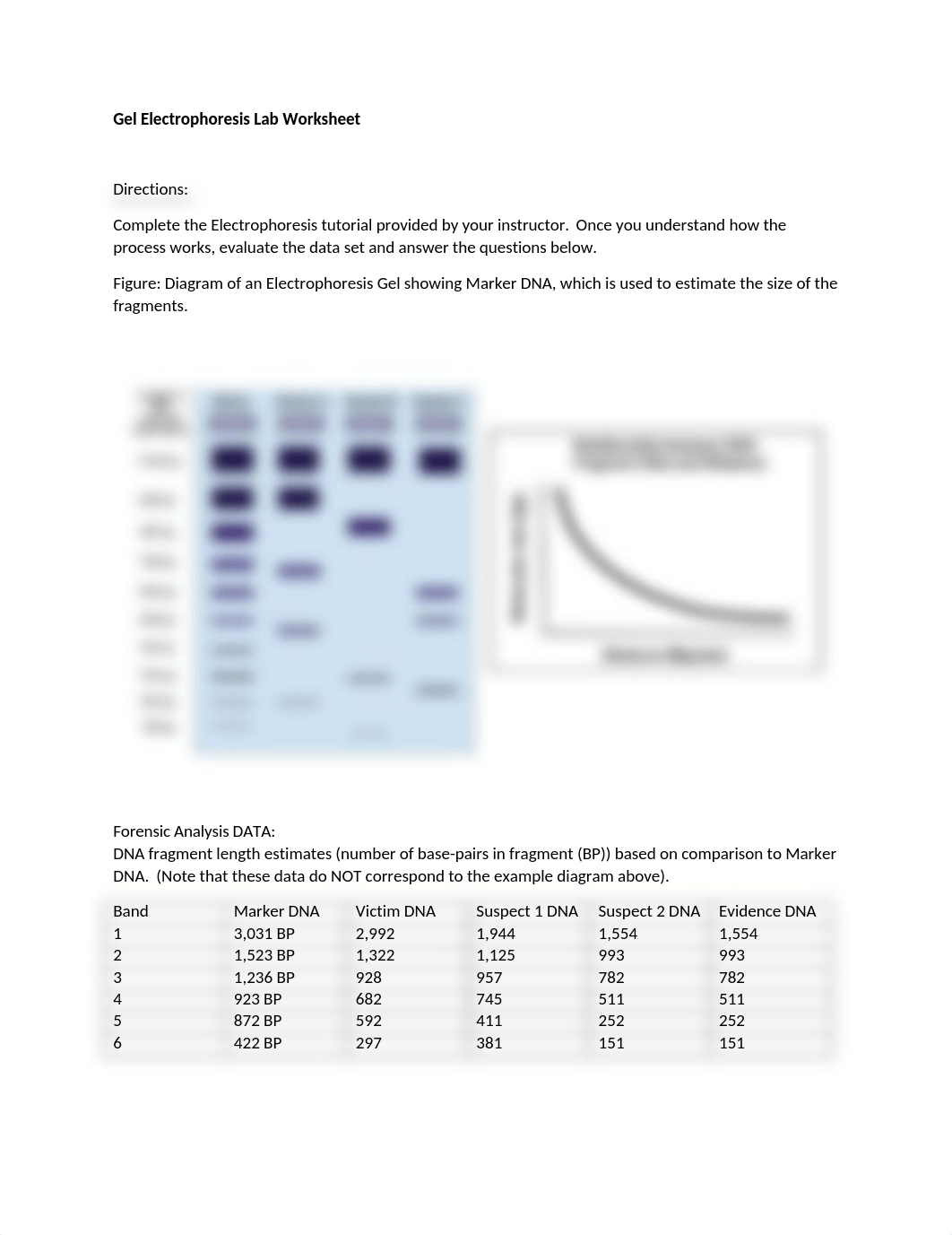 Gel Electrophoresis Worksheet.docx_d6j71lmy3z1_page1