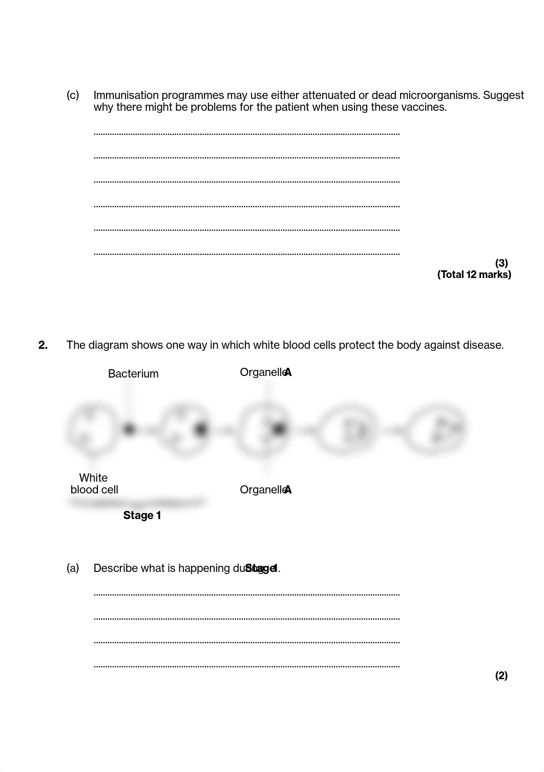 1.1_Diseases.pdf_d6jaohxv430_page2