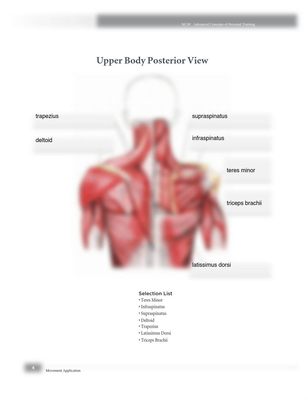 lab 1.pdf_d6jb8uj6gj2_page4