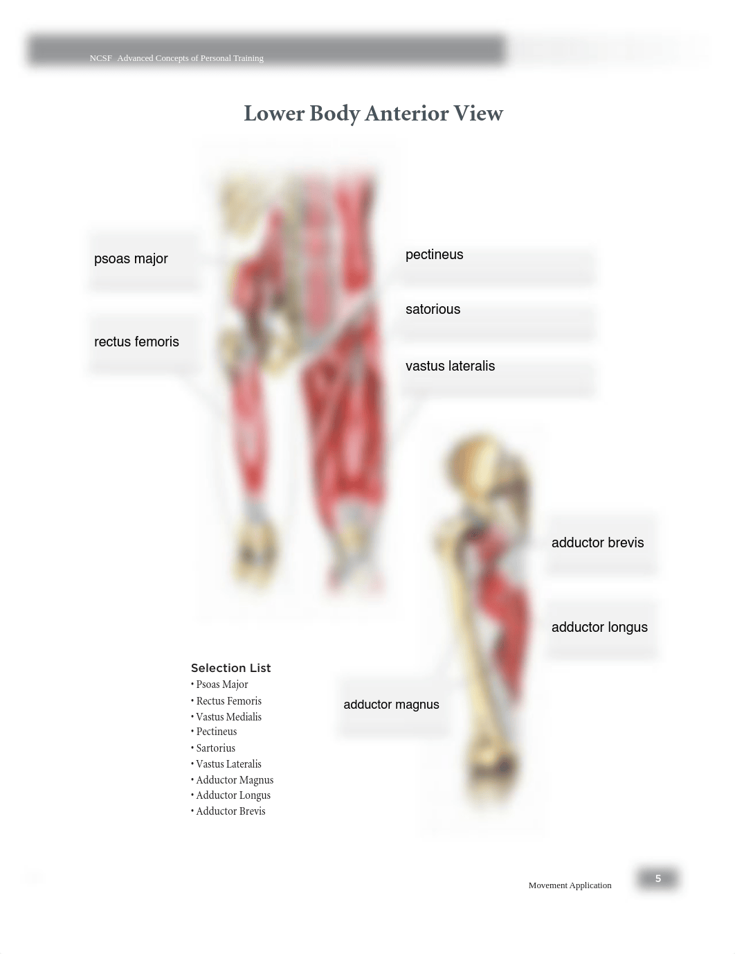 lab 1.pdf_d6jb8uj6gj2_page5