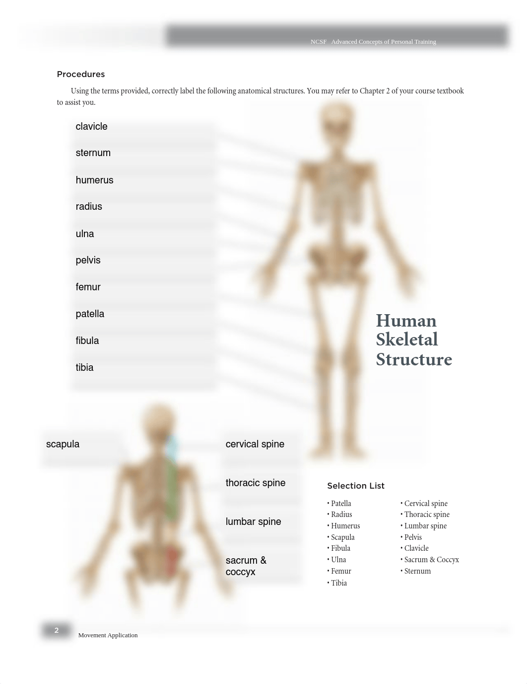 lab 1.pdf_d6jb8uj6gj2_page2