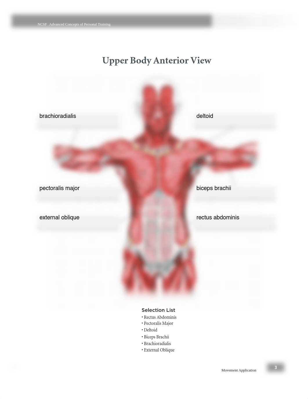 lab 1.pdf_d6jb8uj6gj2_page3