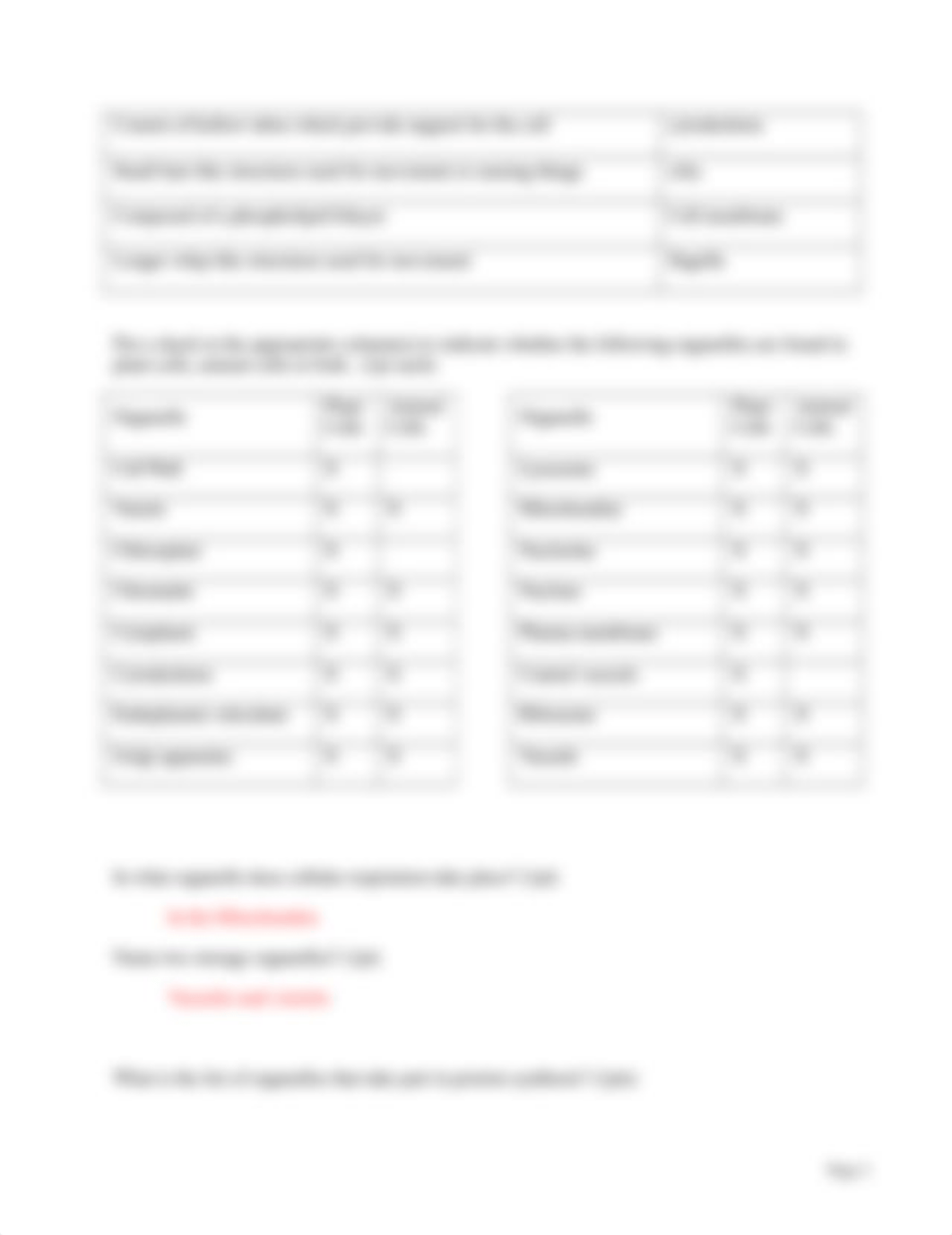 Cell Organelles HW (1).docx_d6jc55m5cc5_page2