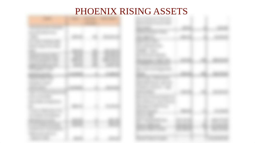 Phoenix Rising Presentation.pptx_d6jkaz2m9gq_page3