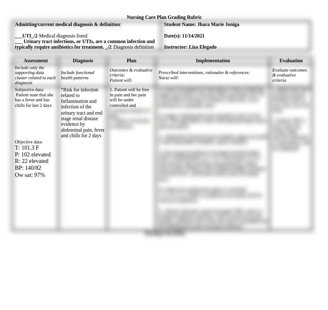 Nursing Care Plan  UTI Template and Grading Rubric.docx_d6jkecht7x5_page1